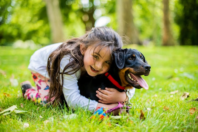 Is Your Child Harsh to Animals? Here's What You Should Do