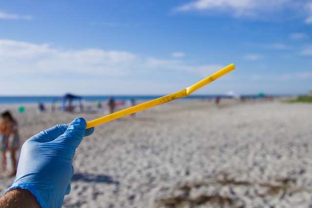 Study Reveals Paper and Bamboo Straws More Likely to Contain PFAS Chemicals Than Plastic Straws