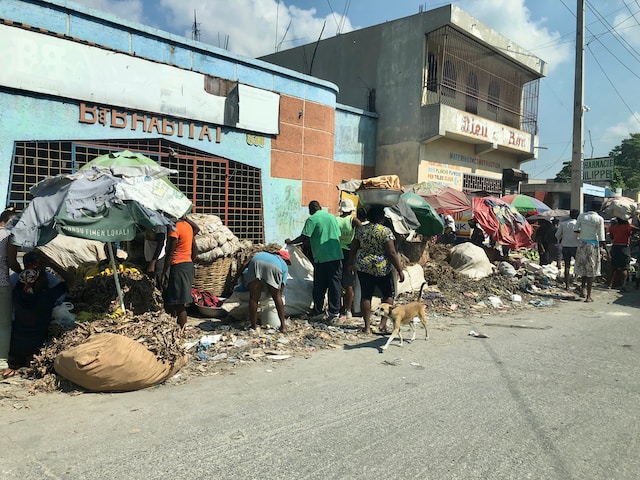 US Nurse and Her Daughter Safely Recovered Following Kidnapping in Haiti Last Month