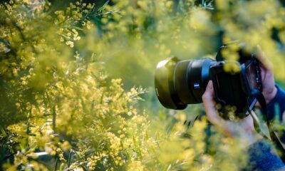 Kansas High School Sports Photographer Tragically Passes Away After Unintended Collision on Football Sidelines