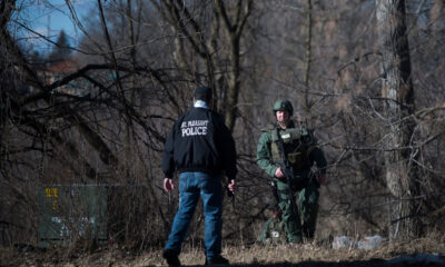 Michigan Toddler Found Safe in Woods; Loyal Family Dogs Stand Guard Throughout Ordeal