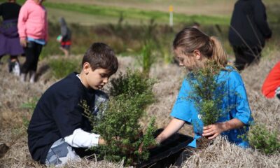 Teaching Kids to Love the Earth: Eco-Friendly Parenting Strategies