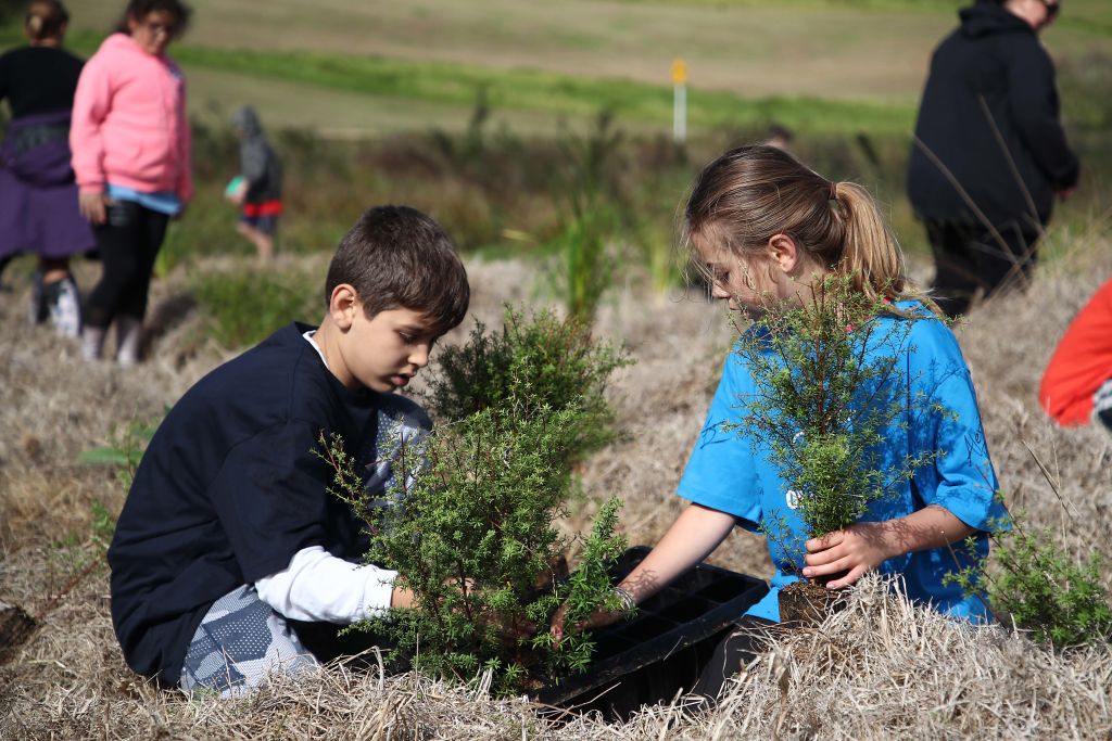 Teaching Kids to Love the Earth: Eco-Friendly Parenting Strategies