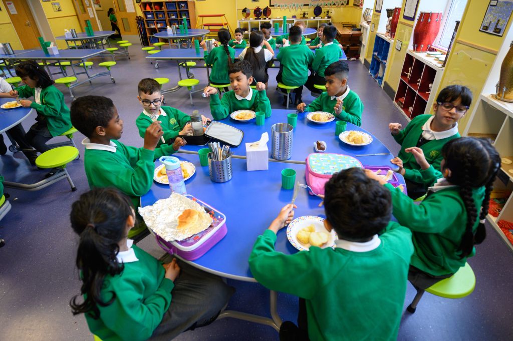 Top 5 Kids' Lunch Boxes That Keep Meals Fresh All Day