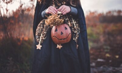 Baby's First Halloween: Ideas and Tips in Choosing the Best Costume for Your Little One