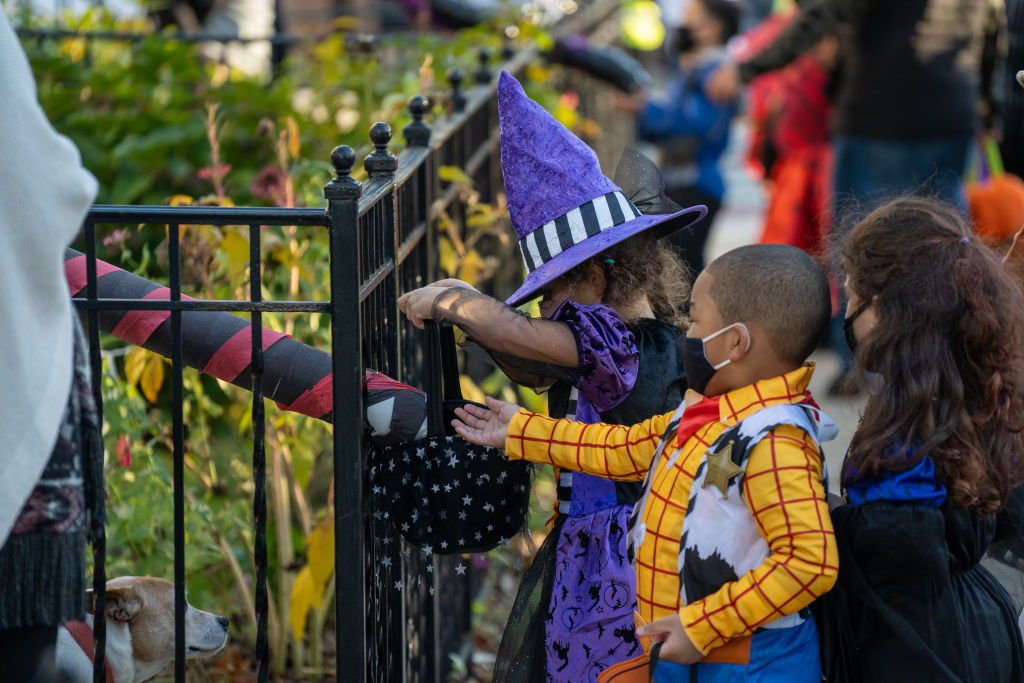 Halloween Candy Prices Skyrocket for Second Year Amid Global Cocoa, Sugar Challenges