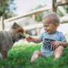 Protecting Your Children: Preventative Measures to Guard Against Pet-Related Dangers