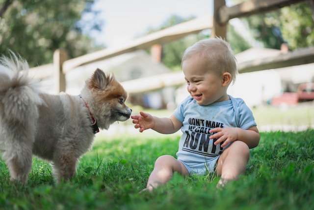 Protecting Your Children: Preventative Measures to Guard Against Pet-Related Dangers