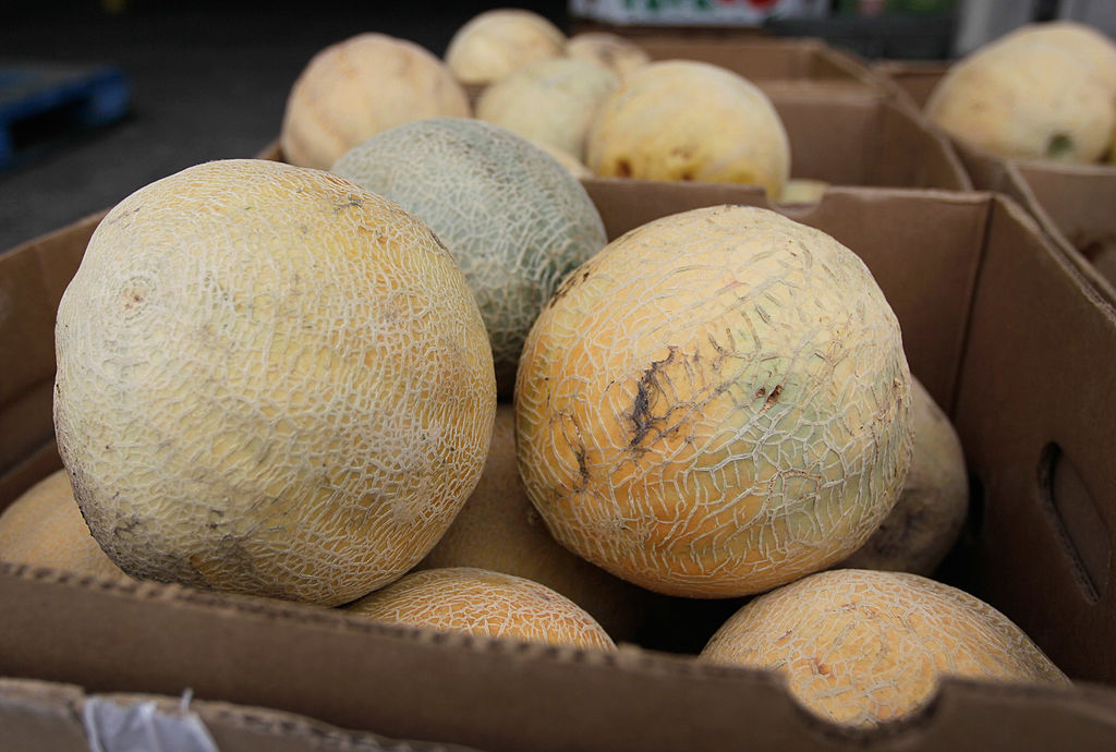 Salmonella Outbreak Worsens: Recall Expanded for Cantaloupes as Cases Double Across 32 States