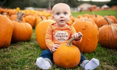 The Nutritional Powerhouse: Making Homemade Butternut Squash Baby Food