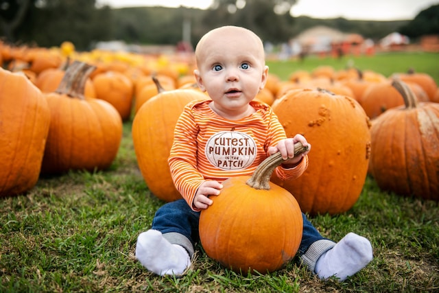 The Nutritional Powerhouse: Making Homemade Butternut Squash Baby Food