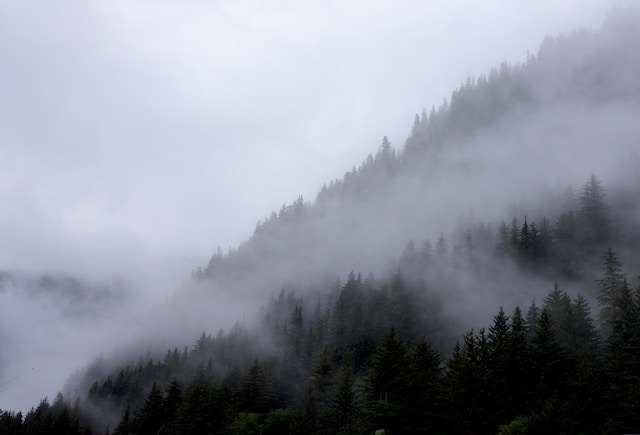 Alaska Landslide: Search Intensifies for Missing 12-Year-Old as Man's Body Is Recovered from Debris