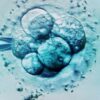 What Fertility Doctors Wish You Understood About IVF