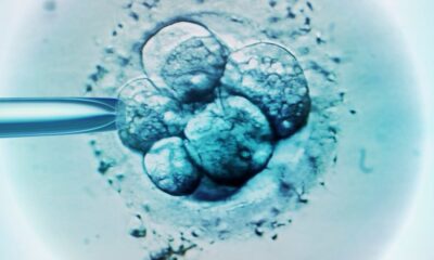 What Fertility Doctors Wish You Understood About IVF