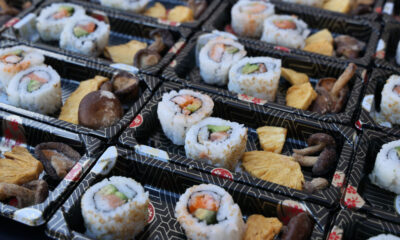 Can Pregnant Women Eat Sushi: Factors to Consider Before Digging Into It