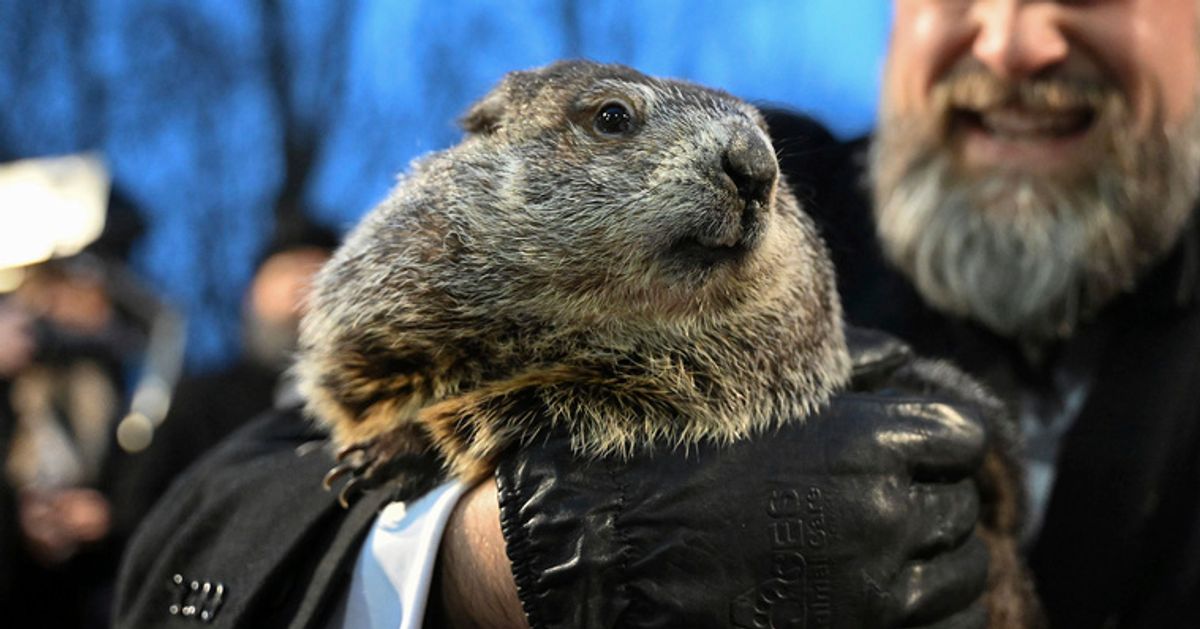 Famed Groundhog Punxsutawney Phil Is Now A Dad Of 2 Babies