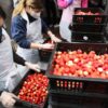 Kentucky 8-Year-Old Boy Dies After Alleged Allergic Reaction to Strawberries