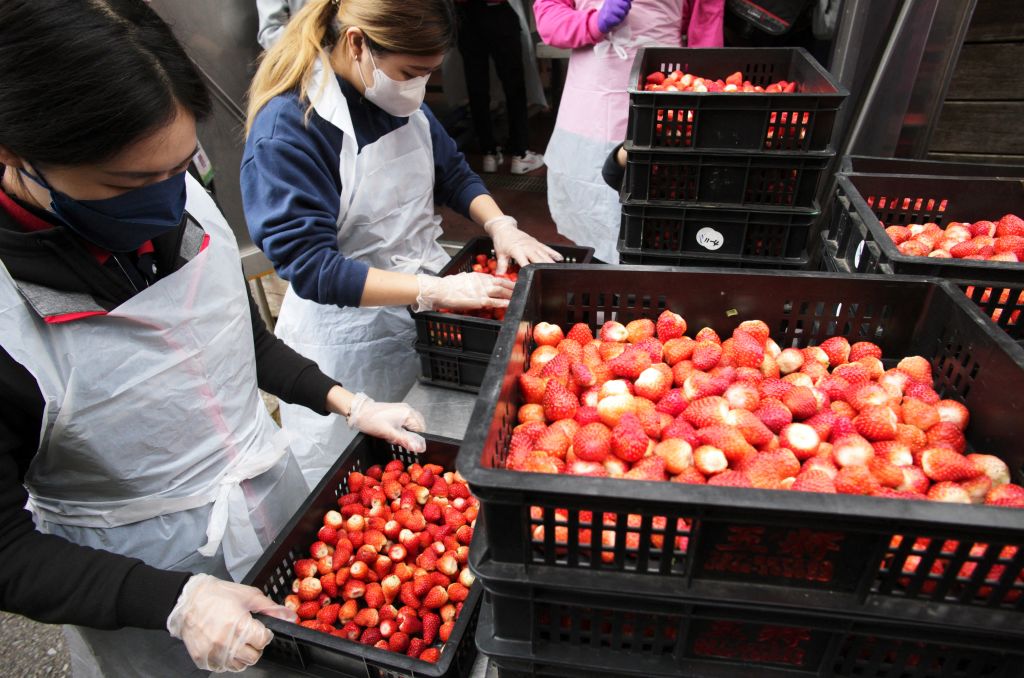 Kentucky 8-Year-Old Boy Dies After Alleged Allergic Reaction to Strawberries