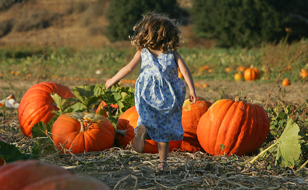 Defeating ARFID: 8-Year-Old Overcomes Rare Eating Disorder With Social Media Community