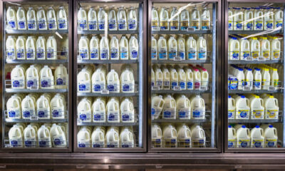 FDA Reveals Traces of Bird Flu Virus Found in 1 out of 5 Pasteurized Milk Samples