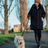 The 1 Thing Every Dog Owner Should Do With Their Pet On A Walk