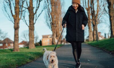 The 1 Thing Every Dog Owner Should Do With Their Pet On A Walk