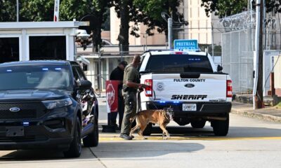 Georgia Park Incident: Three Children, Adult Found Dead in Suspected Murder-Suicide