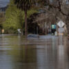 Texas Storm Tragedy: Child Dies After Being Swept Away While Trapped in Flooded Vehicle