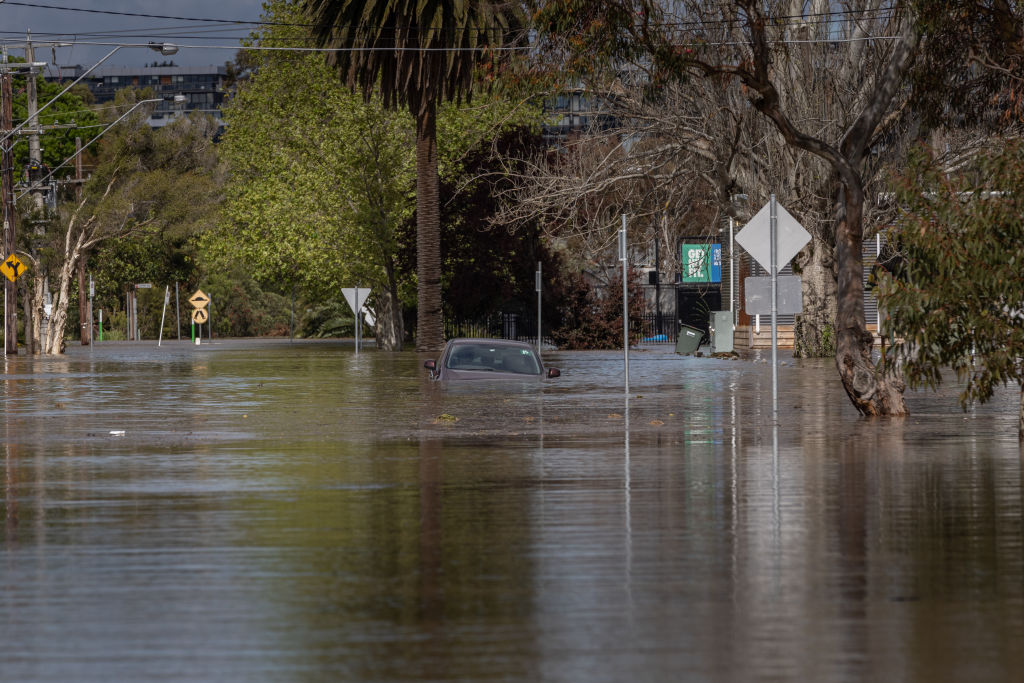 Texas Storm Tragedy: Child Dies After Being Swept Away While Trapped in Flooded Vehicle