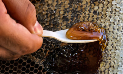 Why Babies Shouldn't Eat Honey: Understanding Infant Botulism