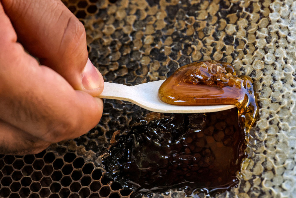 Why Babies Shouldn't Eat Honey: Understanding Infant Botulism