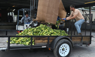 CDC Recall: Salmonella Outbreak in 25 States Linked to Contaminated Cucumbers