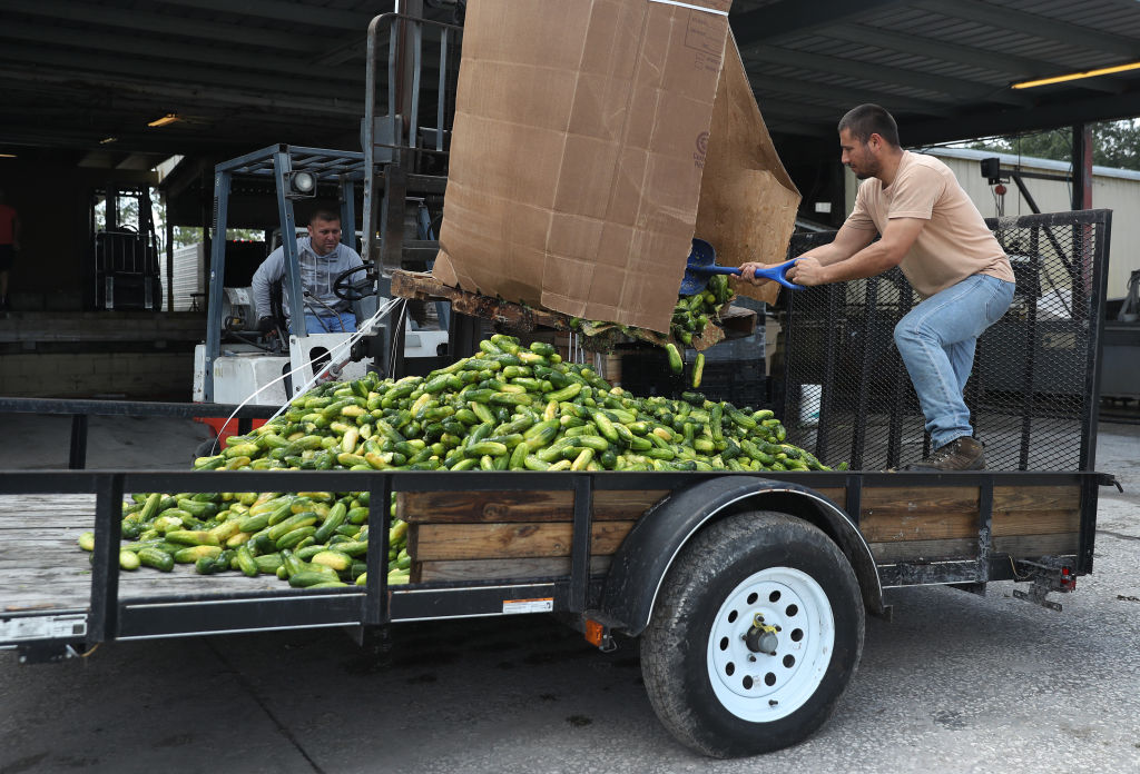 CDC Recall: Salmonella Outbreak in 25 States Linked to Contaminated Cucumbers