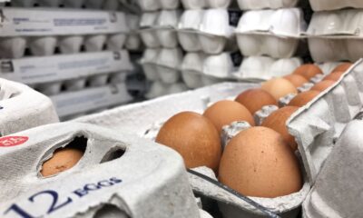 Major Egg Recall: Dangerous Mislabeling Sparks Allergen Alert