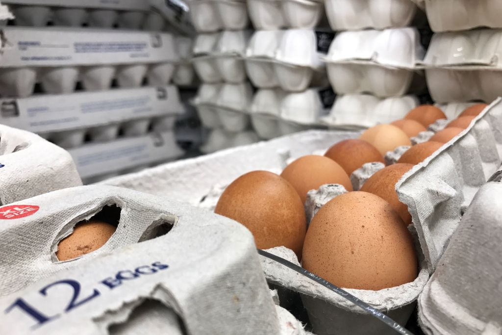 Major Egg Recall: Dangerous Mislabeling Sparks Allergen Alert