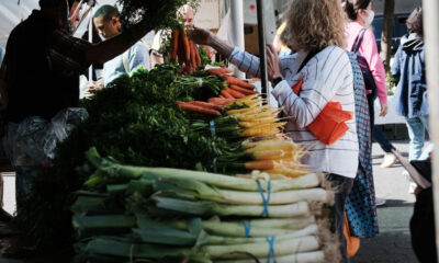 SNAP Benefits Highest Payments: Food Stamp Differ Across the US With Benefits Soaring Up to $445 Per Person