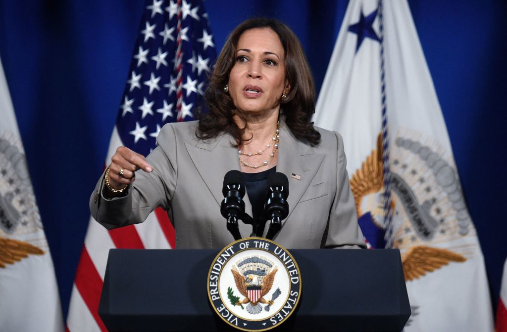 Harris Calls for $6,000 Tax Credit for Families With Newborns, Expanding on Biden’s Initiative